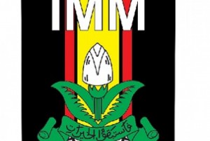 logo imm