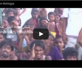 [VIDEO] Tragedi Muslim Rohingya